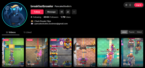Viewing TikTok profile on the web without logging in. 