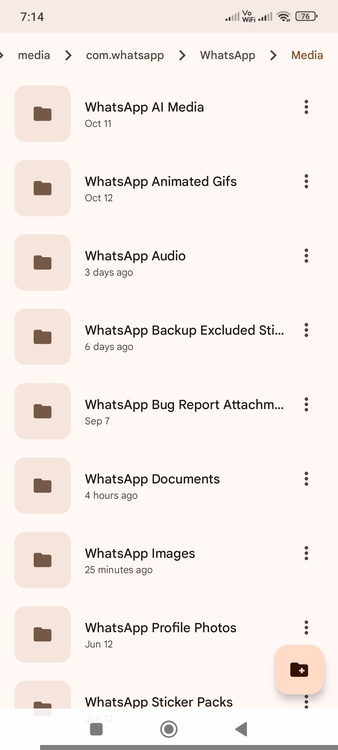 WhatsApp list of folders in phone