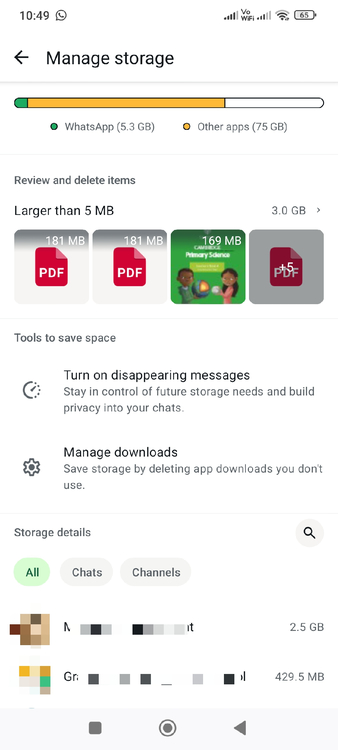 WhatsApp Storage Manager showing data