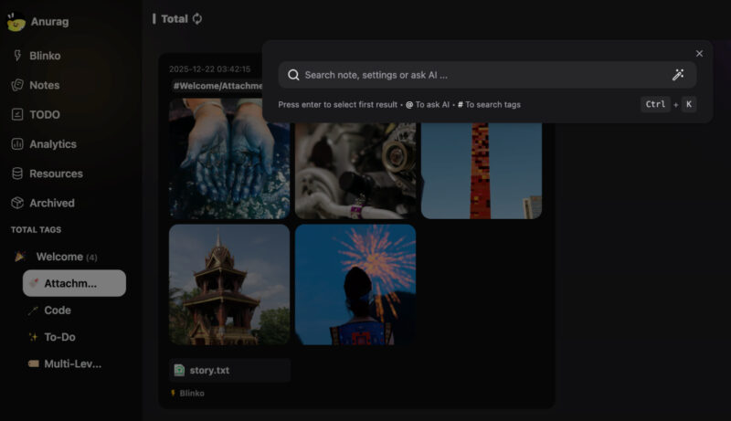 Screenshot showing Blinko Ai Search in action