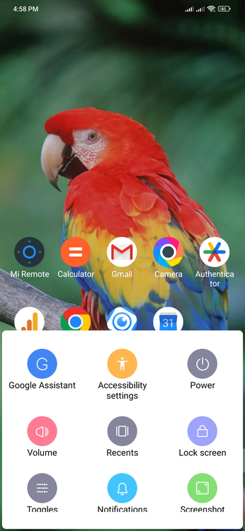 Accessibility Menu Items on home screen