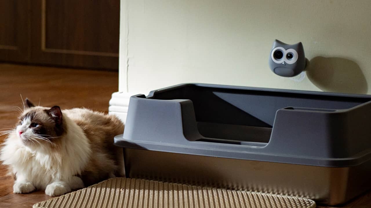 Easily Monitor Cat Health With SiiPet LitterLens Camera