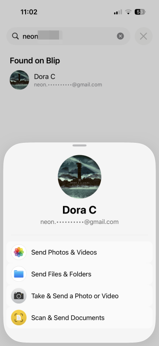 Sharing options on Blip for iPhone. 