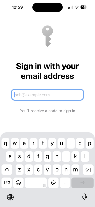Signing in with email on Blip on iOS.