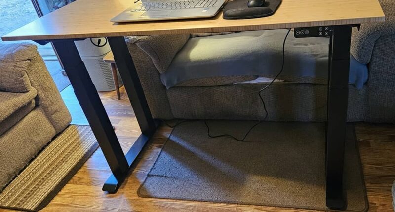 FlexiSpot frame and top.