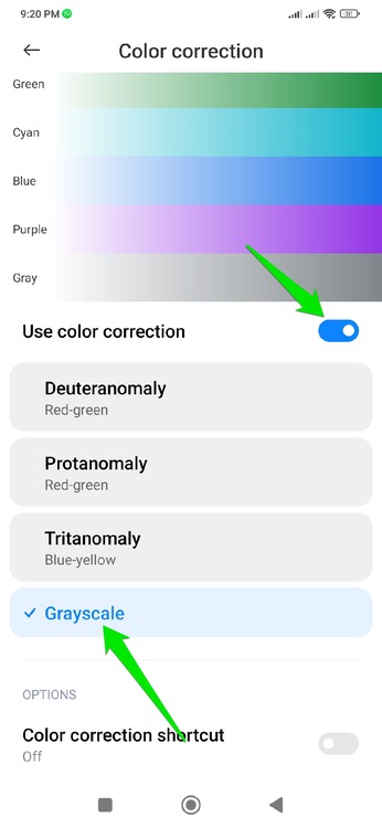 Color correction Accessibility Settings
