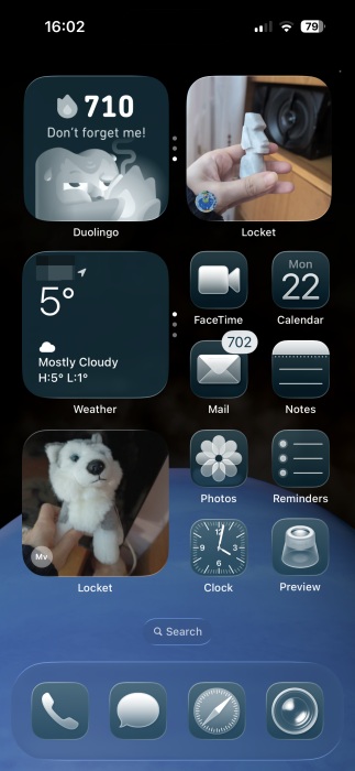 Two Locket widgets displaying content from different friends on iPhone. 