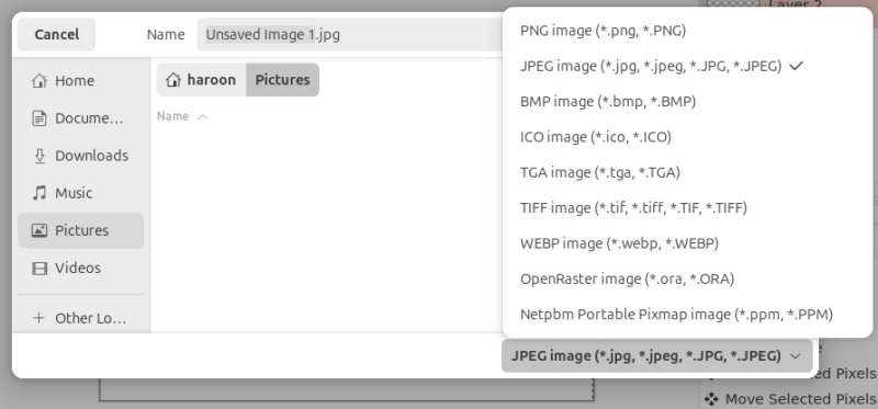 Painta Various Saving Options