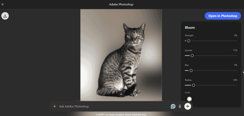 Photoshop In Chatgpt Sample