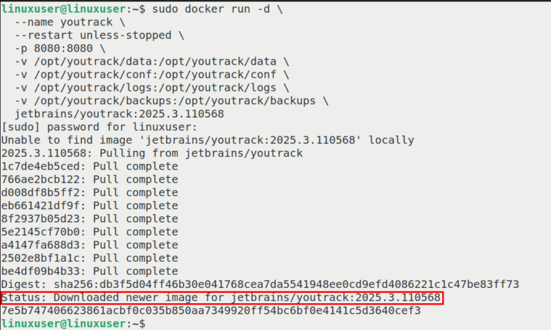 Pull Docker Image Youtrack