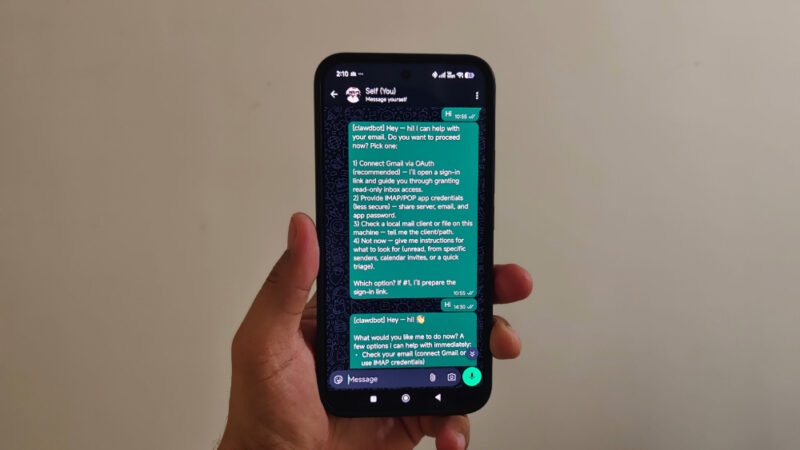 Screenshot showing Clawdbot on WhatsApp