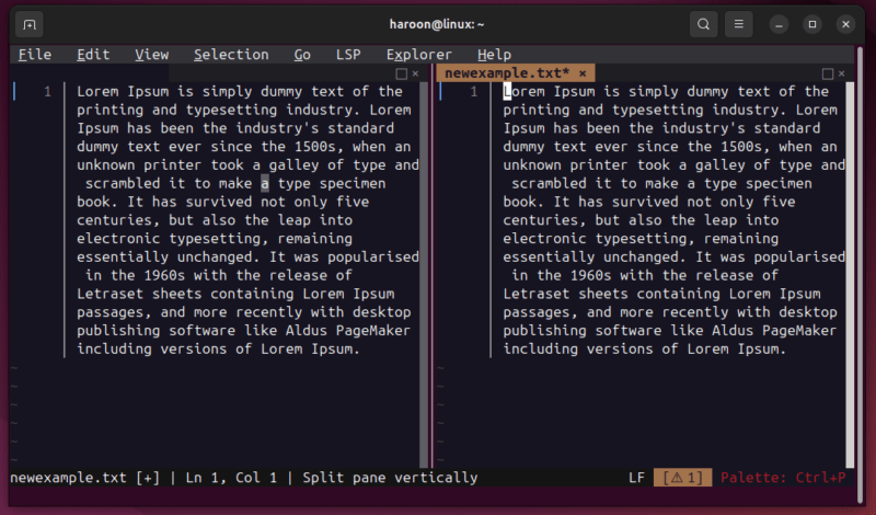 Fresh Terminal Spilt Pane