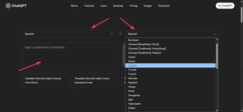 Chatgpt Frame With Language Selections