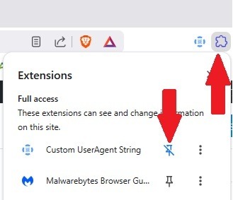 Pin extension to Chrome.