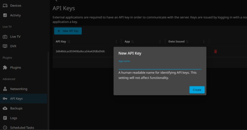 Adding new Jellyfin Api Key