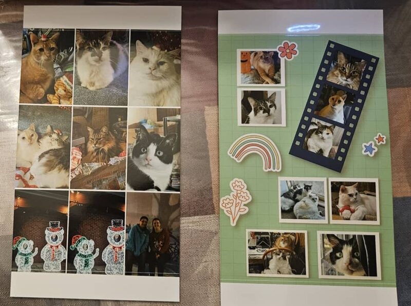 Photo collages from Liene PixCut S1.