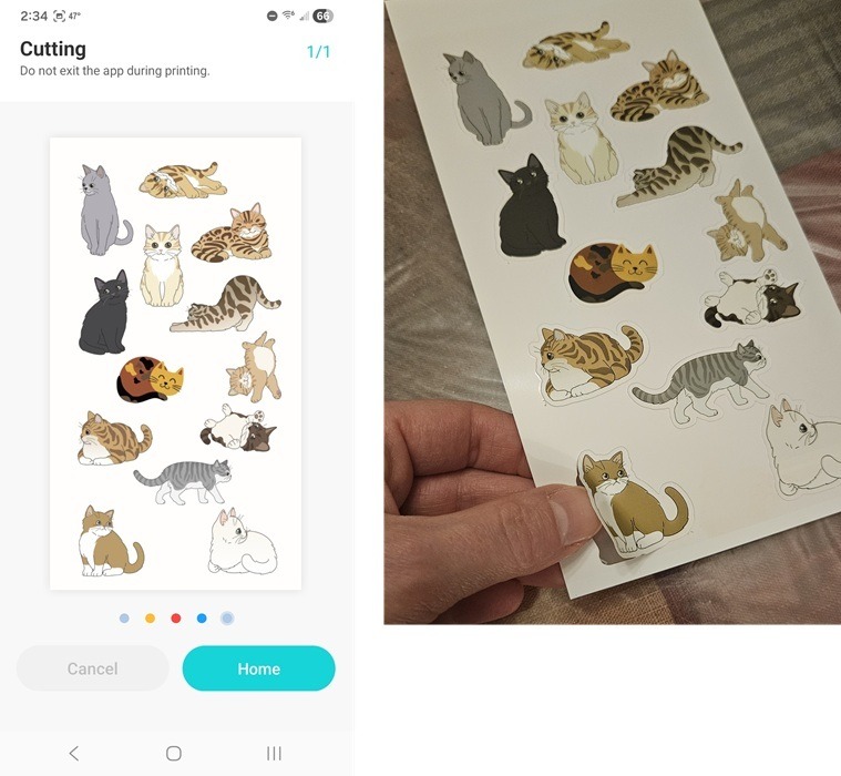 Printing cat stickers from the Liene Photo app.