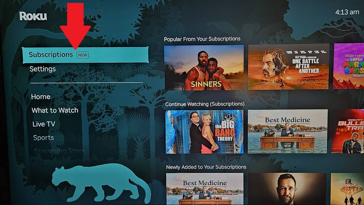 Roku Subscriptions feature on Roku home screen.
