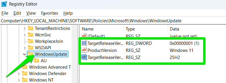 Setting Windows Version permantely using Registry