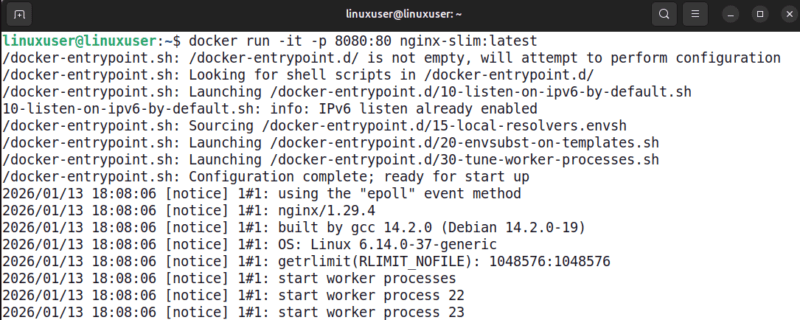 Test Your New Optimized Image