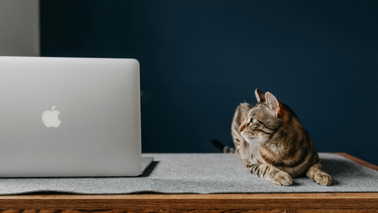 Need to View Folder Size in macOS Finder? Use These Tricks