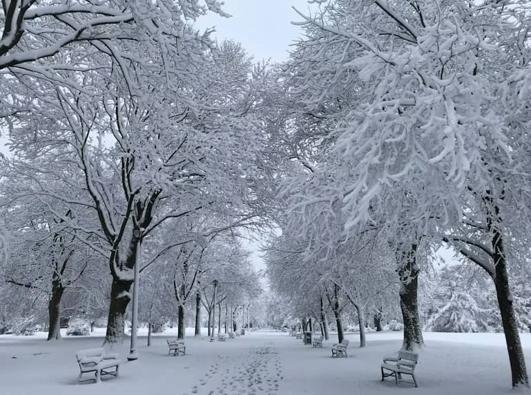 Heavy snowfall in a park after a winter storm.