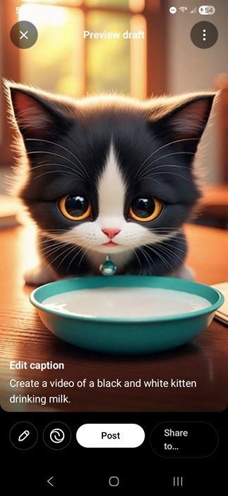 Black and white kitten video generated with Sora.