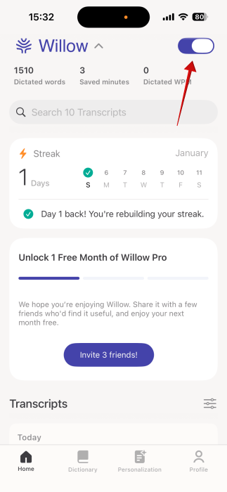 Toggling on Willow on iPhone. 
