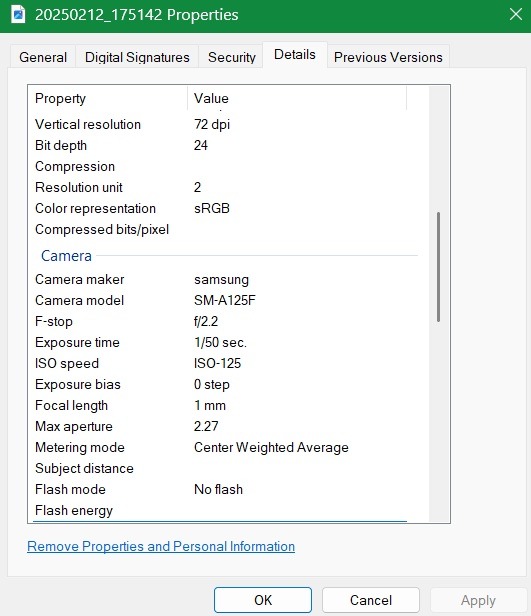 Image EXIF data viewable in Windows through a simple right click --> Properties.