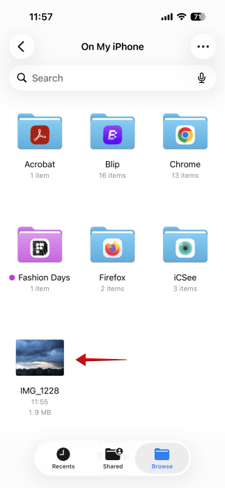 Pasted image view in Files app on iPhone. 