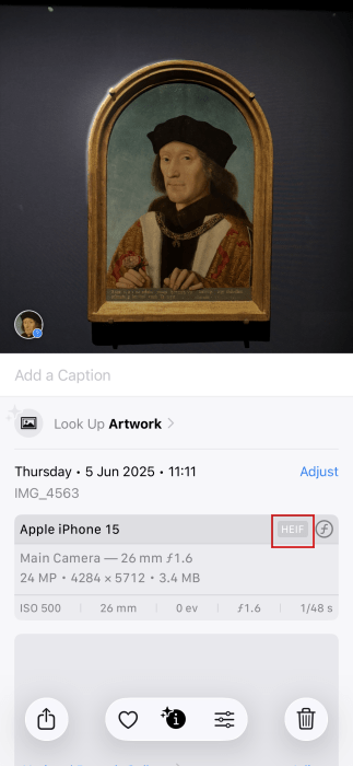 Checking For Heic Iphone Photos Format View