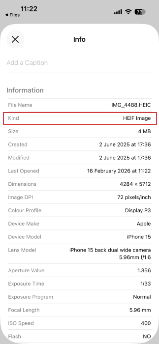 Checking For Heic Iphone Preview Format View