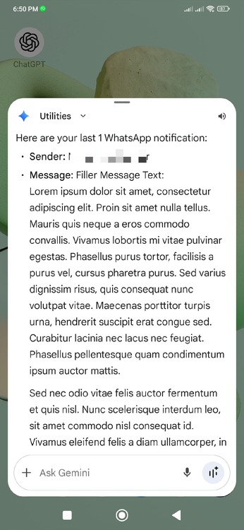 Gemini Reading a WhatsApp Message