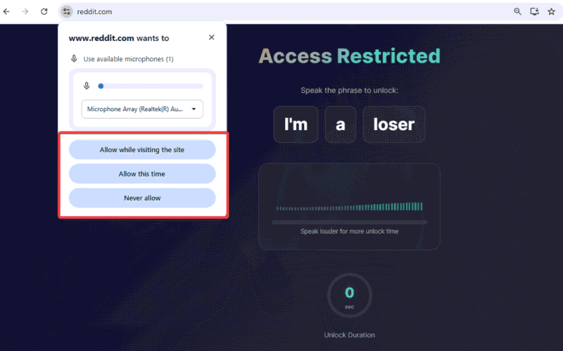 Grant Microphone Access