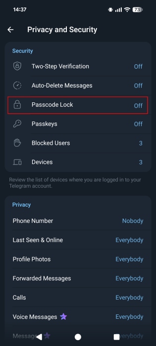 Tapping on "Passcode Lock" option in Telegram Settings.