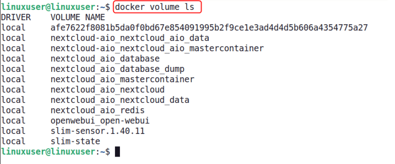 Inspect Docker Volumes