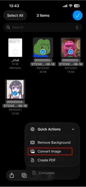 Ios Whatsapp Files Convert Image