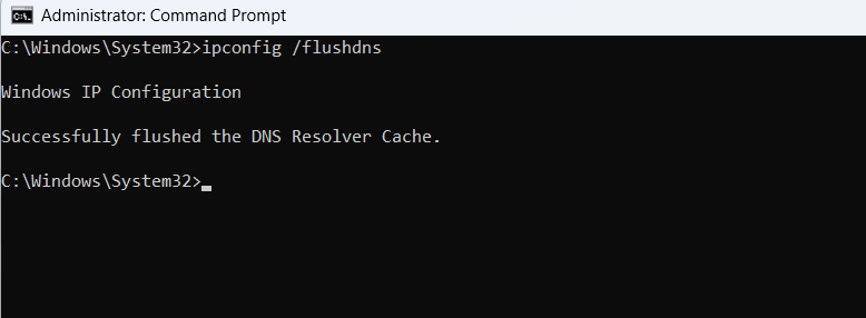 Running DNS flush Command in Windows