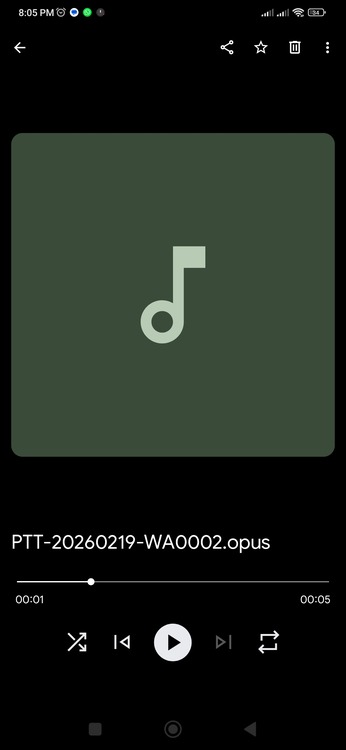Whatsapp Audio Playing