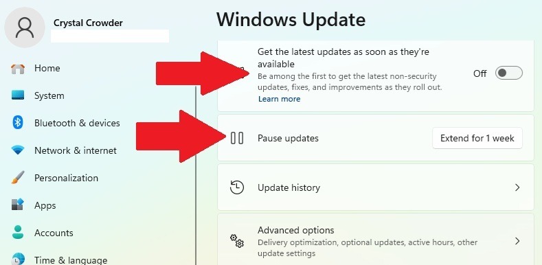 Pause Windows updates to prevent updates from reinstalling.