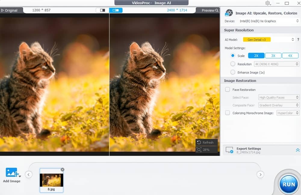 Upscaling an photo of a pet cat.