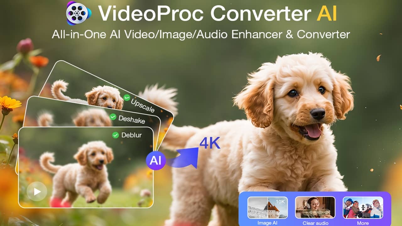 VideoProc Converter AI example with a small poodle.