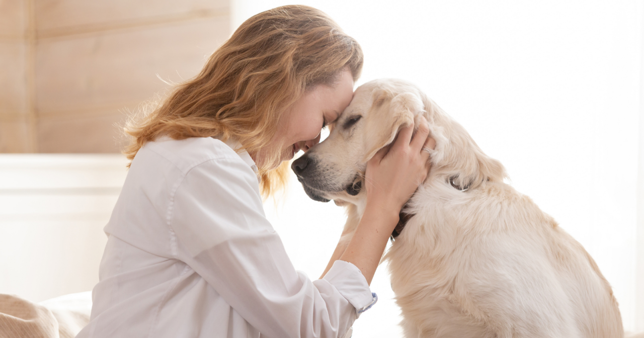 A four-month-old Chinese startup just launched a $118 AI collar that claims to translate dog and cat vocalizations into human sentences with 95% accuracy — an extraordinary consumer device that has secured $1 million in funding despite zero independent scientific proof that it actually works