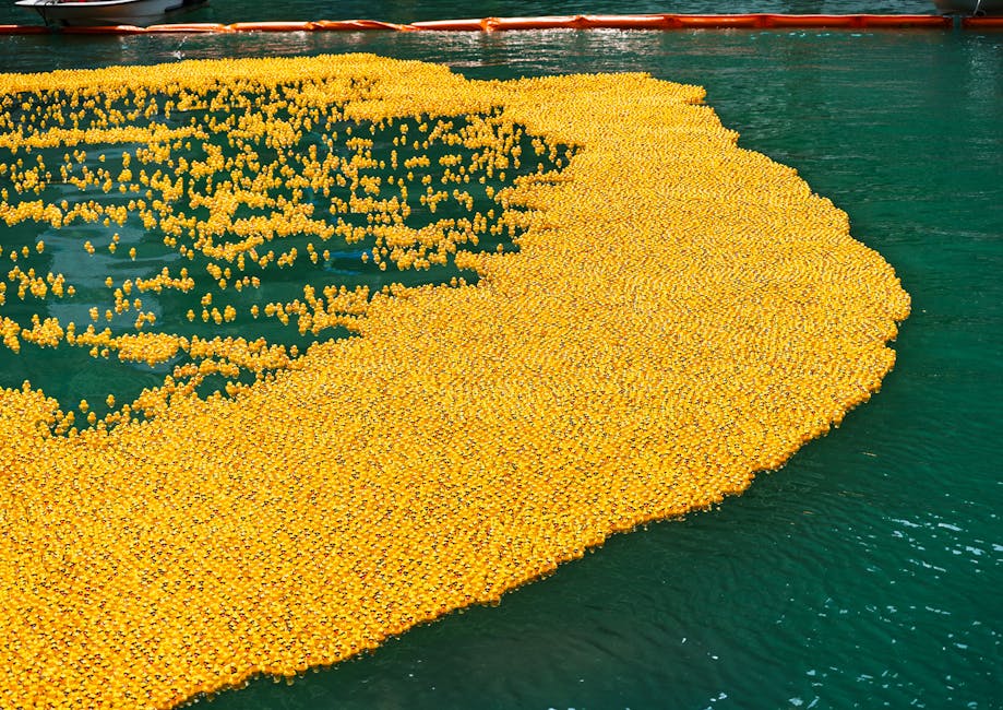Thousands of yellow rubber ducks float in a vibrant pattern on Chicago's river waters.