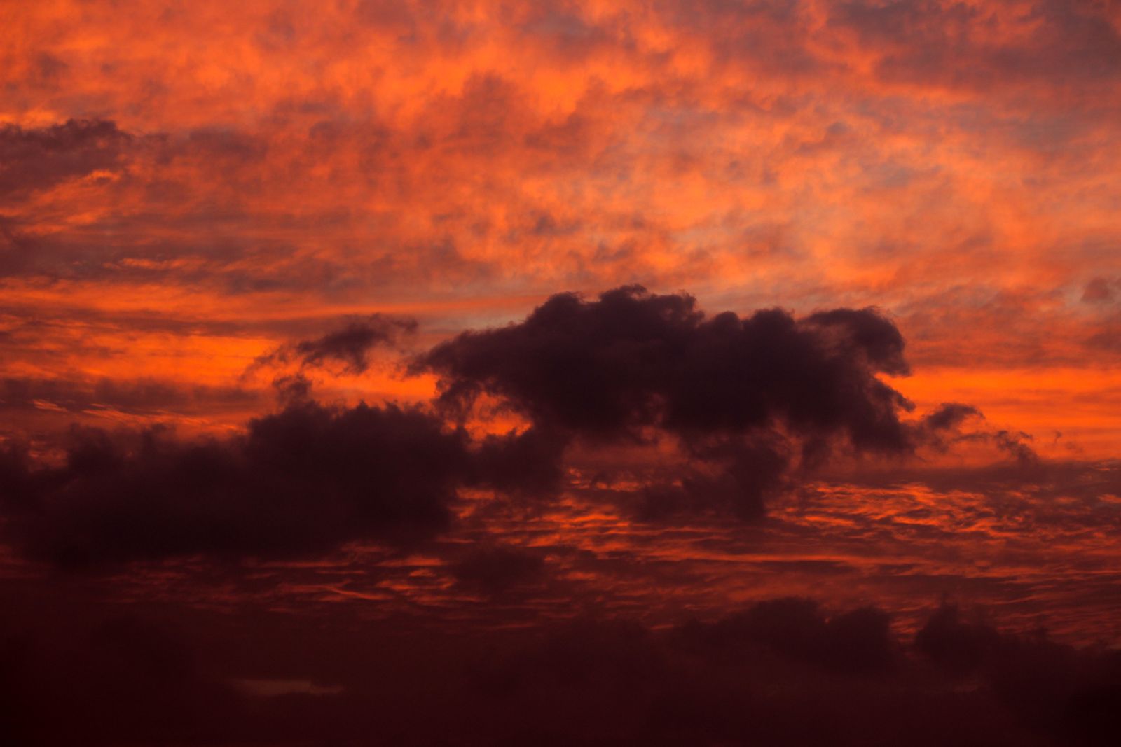 The Sun is actually white — the yellow we see is Earth's atmosphere scattering the shorter blue wavelengths away before the light reaches our eyes, which is also why sunsets turn red